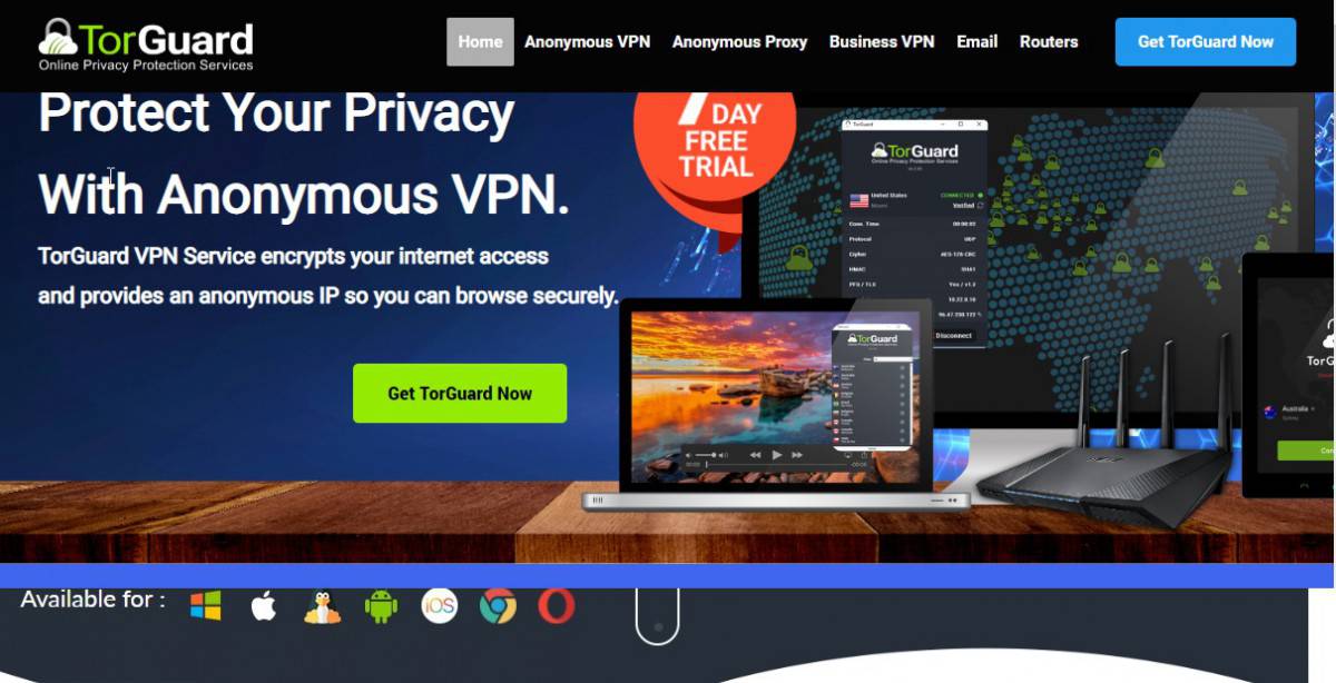 torguard 1 - TorGuard is a company which offers VPN services.